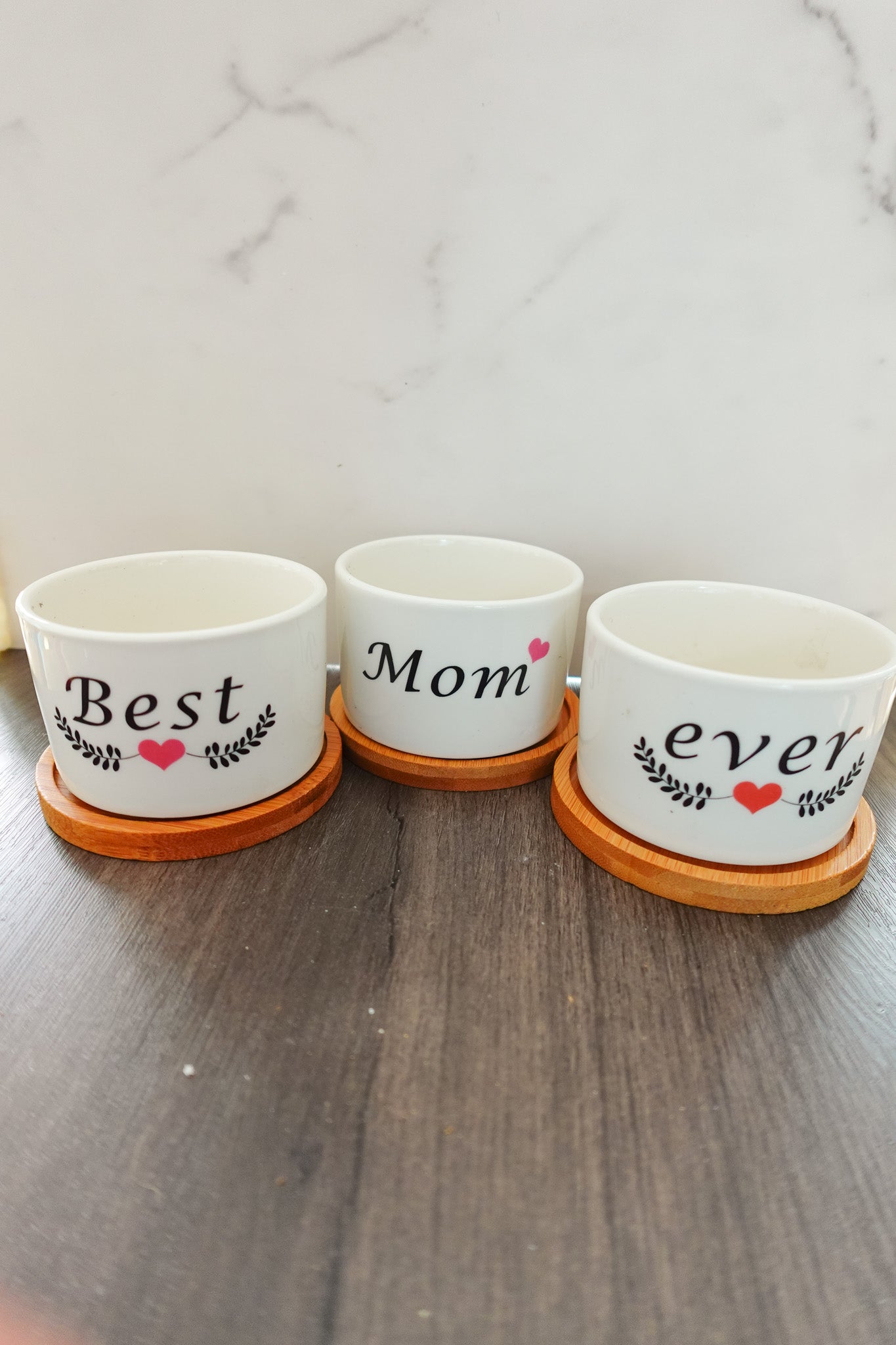 Best Mom Ever Planters Set