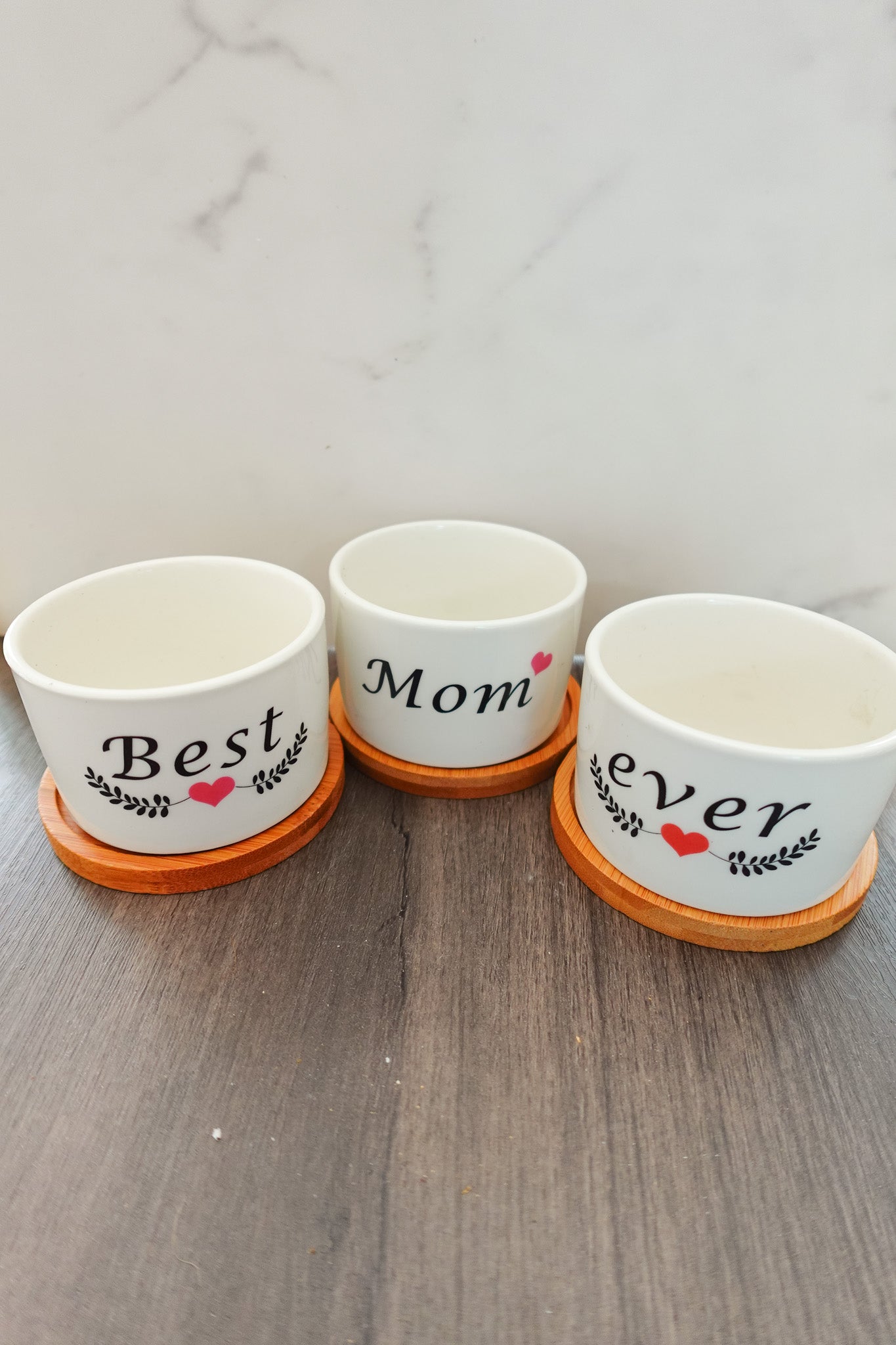 Best Mom Ever Planters Set