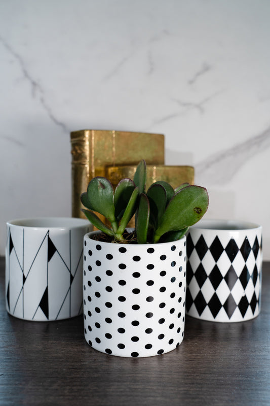 Chic Patterned Pot